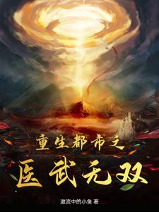 重生都市之医王